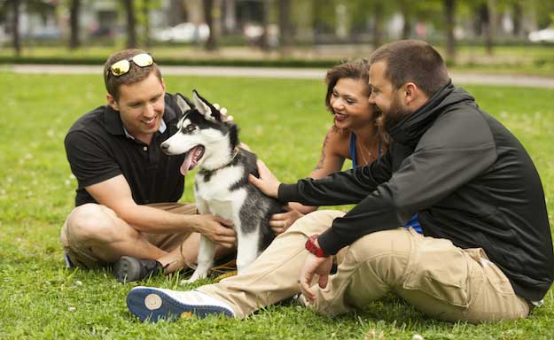 Forever Husky Facebook Alumni Group