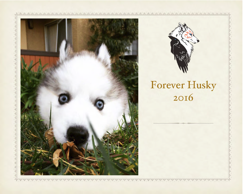 Forever Husky 2016 Calendar