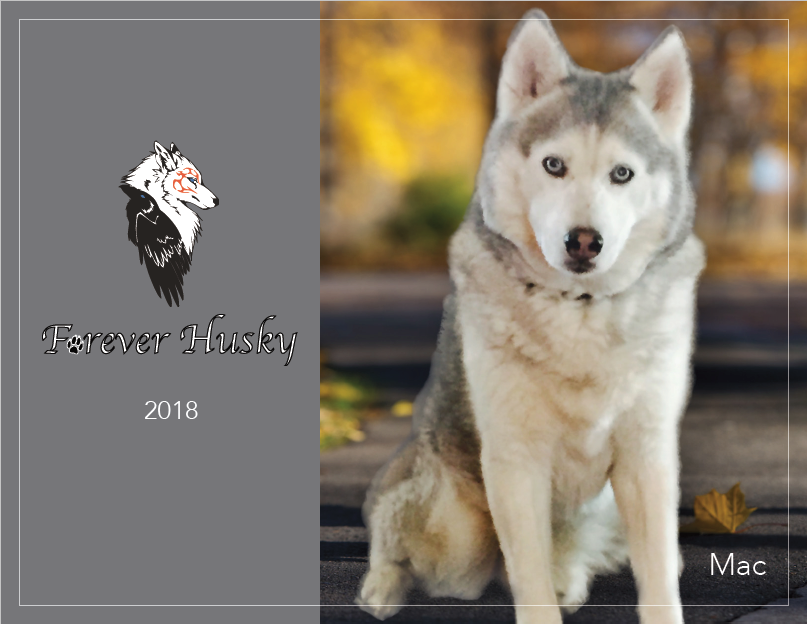 Forever Husky 2018 Calendar