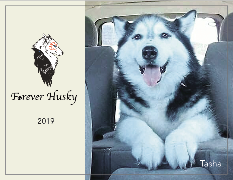 Forever Husky 2019 Calendar