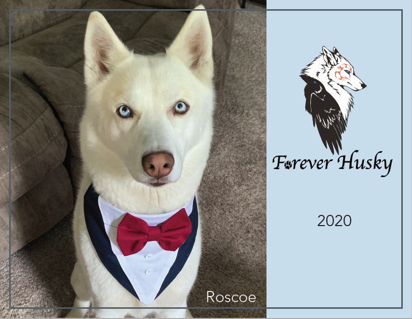 Forever Husky 2020 Calendar