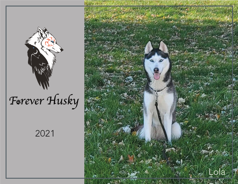 Forever Husky 2021 Calendar